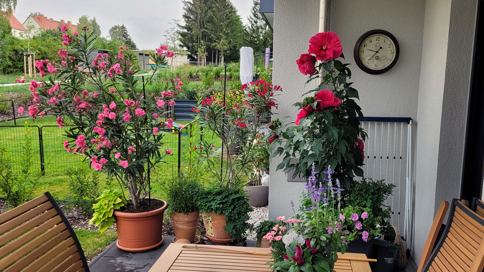 Terrassenausblick